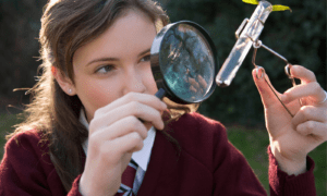 biology tutoring in Toronto